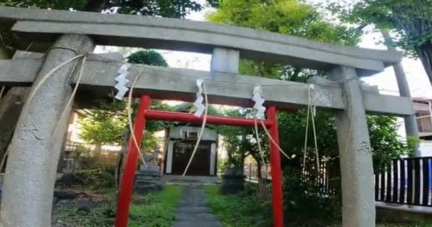 Sanctuaire Torii Vert Rouge Temple Torii Approche Enceinte Sanctuaire Calme — Video