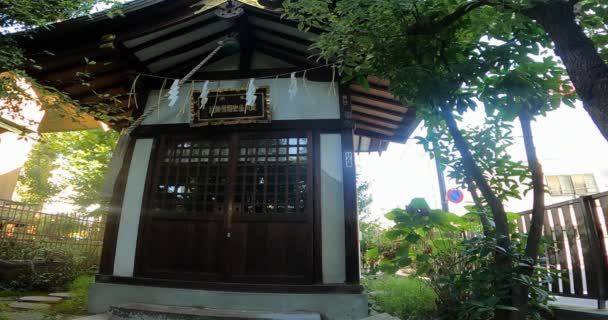 Shrine Small Shrine Shrine Hall Temple Wooden Whitea Quiet Shrine — Stock Video