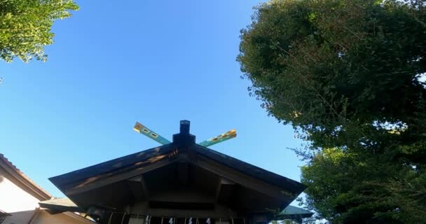 Atsuta Shrine Beautiful Chigi Shrine Guardian Shrine Lugn Helgedom Imado — Stockvideo
