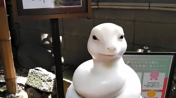 Yılan tanrısı beyaz yılan yılan okşayan yılan sevimli yılan Japon Tokyo Kasai Tapınağı