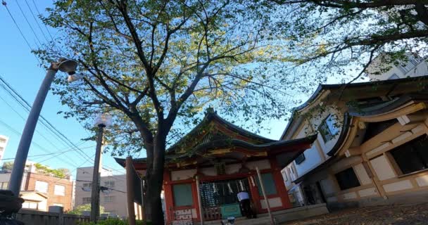 Japon Tokyo Asakusa Une Rue Calme Ordinaire Matin Torii Sacré — Video