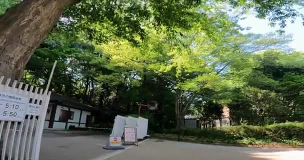Meiji Shrine Enter West Approachjapan Tokyo Shrine Dedicated Emperor Meiji — Vídeos de Stock