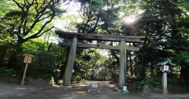 Meiji Shrine Enter West Approachjapan Tokyo Shrine Dedicated Emperor Meiji — Stockvideo