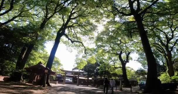 Meiji Shrine Enter West Approachjapan Tokyo Shrine Dedicated Emperor Meiji — ストック動画