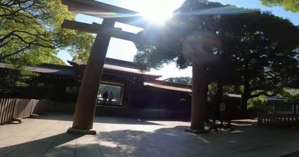 Meiji Shrine Enter West Approachjapan Tokyo Shrine Dedicated Emperor Meiji — Stok Video