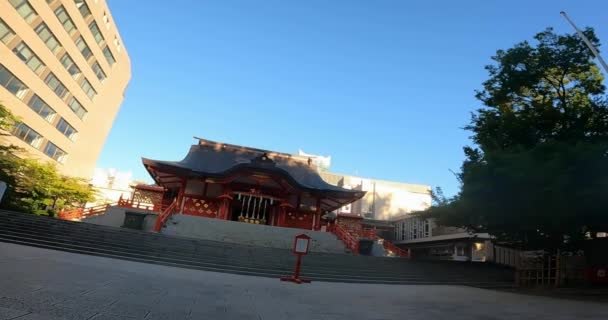 Torii Hanazono Shrine Shinjuku Inari Shrine Sacred Treejapan Tokyo Shinjuku — Stock video