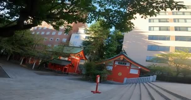 Torii Hanazono Shrine Shinjuku Inari Shrine Sacred Treejapan Tokyo Shinjuku — Stock Video
