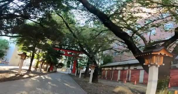 Torii Hanazono Shrine Shinjuku Inari Shrine Sacred Treejapan Tokyo Shinjuku — Vídeo de Stock