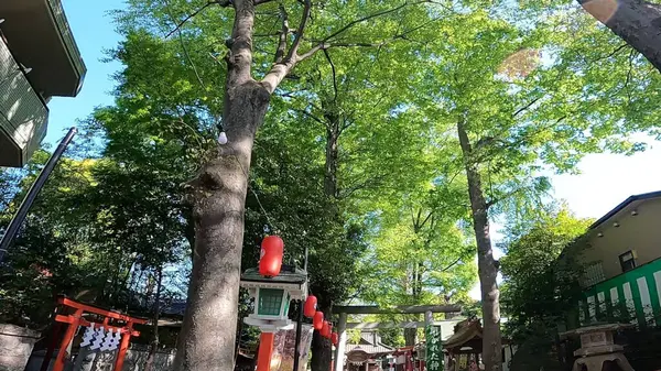 Tanashi Tapınağı, Nishi-Tokyo Şehri, Tokyo, Japonya. Beş element, beş ejderha tanrısı, Altın Ejder, Mavi Ejder, Kızıl Ejder, Beyaz Ejder ve Siyah Ejder felsefesine dayanmaktadır. Ana tapınak inşa edildi. 
