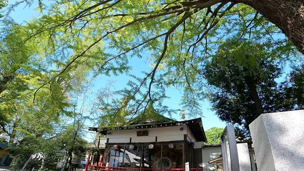 Tanashi Tapınağı, Nishi-Tokyo Şehri, Tokyo, Japonya. Beş element, beş ejderha tanrısı, Altın Ejder, Mavi Ejder, Kızıl Ejder, Beyaz Ejder ve Siyah Ejder felsefesine dayanmaktadır. Ana tapınak inşa edildi. 