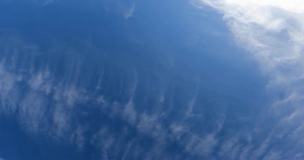 冬の空の冬青空青空の空のスカイブルークリア — ストック動画