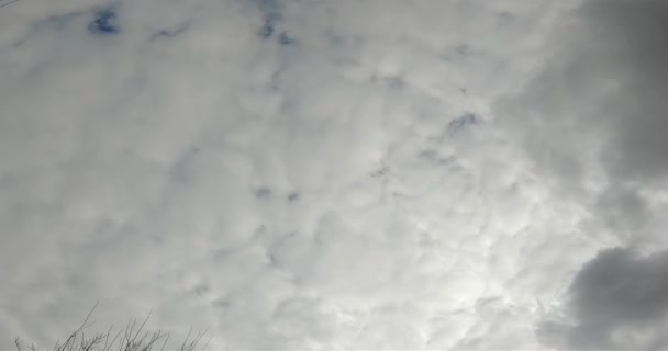 Cielo Invernale Cielo Nuvoloso Nuvola Bianca Nube Densa Cielo Invernale — Video Stock