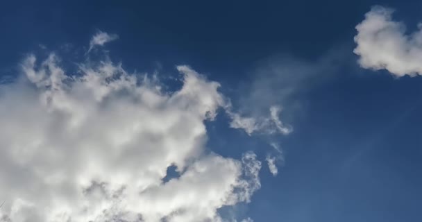 清澈的春天清晨蓝天 春天的天空 Vivid Sky Blue — 图库视频影像