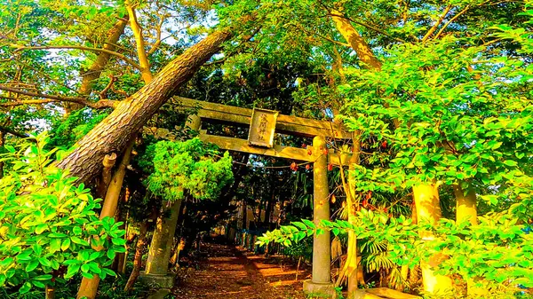 Shinozaki Sengen Tapınağı Edogawa Ward, Tokyo, Japonya 'da yer almaktadır. 15 Mayıs 938 https tarihinde kurulan en eski tapınak: / / youtu.be / QI4yTy _ biys