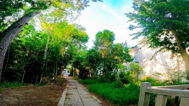 Shinozaki Sengen Tapınağı Edogawa Ward, Tokyo, Japonya 'da yer almaktadır. 15 Mayıs 938 https tarihinde kurulan en eski tapınak: / / youtu.be / QI4yTy _ biys