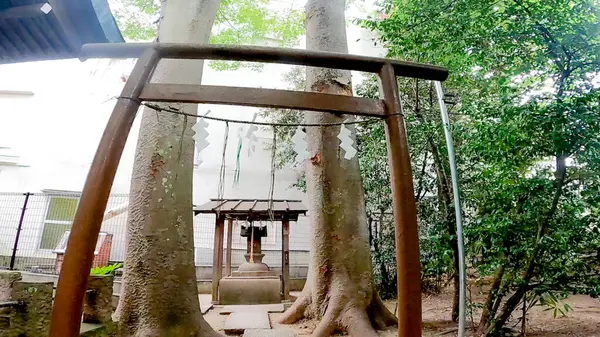 Koiwa Tapınağı, Higashikoiwa Tapınağı, Edogawa-ku, Tokyo, Japonya 1536.https: / / youtu.be / iuMnFlMoqic
