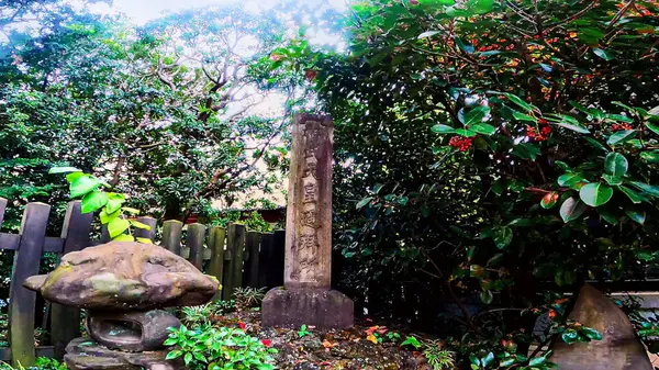 Nishiwaseda, Tokyo, Japonya 'daki Ana Hachimangu Tapınağı. Waseda Universityhttps yakınlarındaki tapınak: / / youtu.be / wpqPiOWb6QY