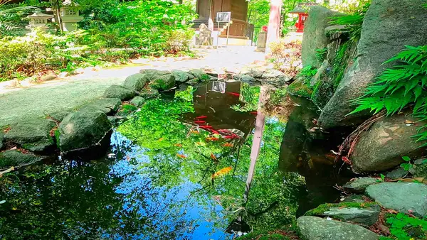 Kumano Tapınağı, Nishi-Shinjuku 2-chome, Shinjuku-ku, Tokyo, Japonya 'da bulunan bir tapınaktır. Tokyo Metropolitan Hükümet Binası da dahil olmak üzere gökdelenlerin bulunduğu Shinjuku Central Park 'ın bir köşesi. 1394-1428 https: / youtu.be / srQGgY41AXQ