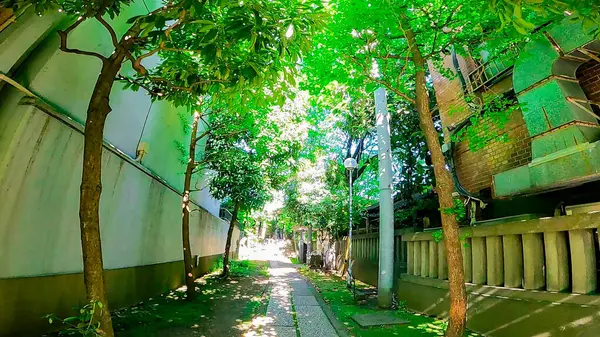 Sakurada Tapınağı, Nishi-Azabu, Minato-ku, Tokyo, Japonya 'da bir tapınak. Roppongi İstasyonu 'ndan 7 dakika uzaklıkta. 1180 yılında, Minamoto no Yoritomo' nun emriyle Kasumigaseki Sakuradaon 'un dışında kutsanmıştı. https://youtu.be/uvbH_sp7LwE