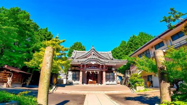 A shrine amidst fresh greenery: Wakamiya Hachimangu Shrine in Kawasaki City