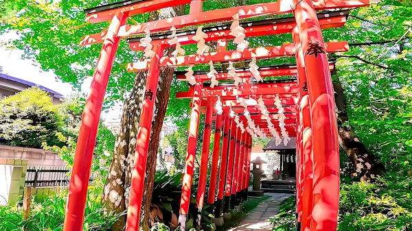 The red torii gate of the shrine, Inari Shrine of Wakamiya Hachimangu Shrine