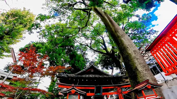 Mabashi Inari Tapınağı, Minami Asagaya, Suginami Ward, Tokyo, Japonya 'da bir türbe. Bu tapınağın Kamakura döneminin sonunda (700 yıl önce) kurulduğu söyleniyor.