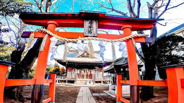 Katori Shrine, Nakakanesugi, Matsudo City, Chiba Prefecture, JapanAlthough the year of its establishment is unknown, it is the guardian of Nakakanesugi.https://youtu.be/V8l3Vec_Xic clipart