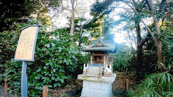 Sakuragi Shrine is a shrine located in Noda City, Chiba Prefecture, Japan.It is also known as a famous cherry blossom viewing spot. It is said that it was founded in 851 of the Heian Dynasty by Fujiwara Tsuguyoshi, the third son of Fujiwara Fuyutsugu