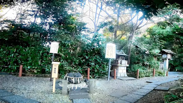 Sakuragi Shrine is a shrine located in Noda City, Chiba Prefecture, Japan.It is also known as a famous cherry blossom viewing spot. It is said that it was founded in 851 of the Heian Dynasty by Fujiwara Tsuguyoshi, the third son of Fujiwara Fuyutsugu