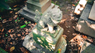 Mamiana Inari Daimyojin, bir parkta bulunan bir türbe hikaye anlatımının motifi olan 