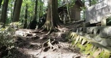 Mitsumine Tapınağı, Okariya Shrini. Mitsumine Tapınağı, Mitsumine, Chichibu, Saitama 'da bir türbe.