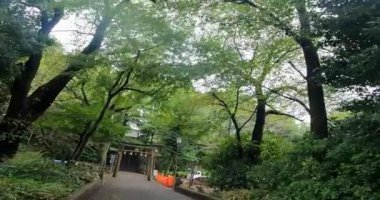 Kawagoe Senba Toshogu Shrine. bir tapınak (Toshogu Tapınağı), Kawagoe Şehri, Saitama Bölgesi, Japonya. Japonya 'daki üç büyük Toshogu türbesinden biridir, Nikko' daki Kunozan ile birlikte.