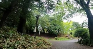Kawagoe Senba Toshogu Tapınağı 'ndan Itsukushima Shrine. bir türbe (Toshogu Tapınağı) Kosenba-cho, Kawagoe City, Saitama Bölgesi, Japonya. Japonya 'daki üç büyük Toshogu türbesinden biridir, Nikko' daki Kunozan ile birlikte.