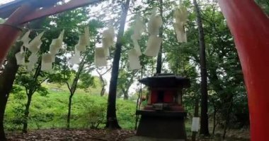 Kita-in 'deki Itsukushima Tapınağı. Kosenba-cho' daki Kitain Tapınağı, Kawagoe Şehri, Saitama Bölgesi, Japonya