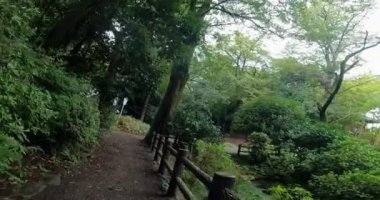 Kita-in 'deki Itsukushima Tapınağı yolunda yürü. Kosenba-cho' daki Kitain Tapınağı, Kawagoe Şehri, Saitama Bölgesi, Japonya