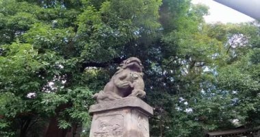 Asagaya Shinmei-gu Koruyucu aslan köpeği. Asagaya Shinmei Tapınağı, Asagaya Kita, Suginami Ward, Tokyo 'da bir tapınak..