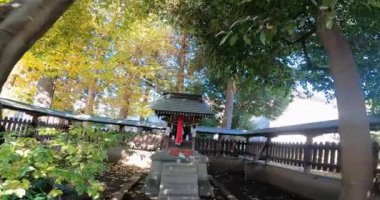 Sarutahiko Tapınağı, küçük bir küçülmeye doğru gidiyor. Motoamanuma Inari ShrineA 'nın alt türbesi Sarutahiko Tapınağı aniden Motoamanuma, Suginami Ward, Tokyo, Japonya' da ortaya çıkıyor.