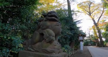 Ogikubo Hachiman Tapınağı Koruyucu Aslanı. Bu tapınak Kamiogi, Suginami Ward, Tokyo 'da bulunuyor. Kanpei döneminde kurulduğu söylenir (889-898).)