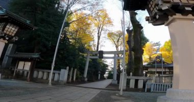 Torii kapısına giden Ogikubo Hachiman Tapınağı. Bu tapınağın Kamiogi, Suginami Ward, Tokyo 'da olduğu söyleniyor. Kanpei döneminde kurulduğu söyleniyor (889-898))