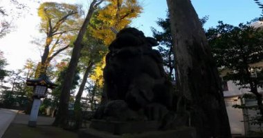 Ogikubo Hachiman Tapınağı Velisi ve Çocuk Koruyucusu Aslan. Bu tapınağın Kamiogi, Suginami Ward, Tokyo 'da olduğu söyleniyor. Kanpei döneminde kurulduğu söyleniyor (889-898).).