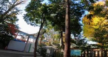Torii kapısına doğru giden Ogikubo Hachiman Tapınağı. Bu tapınağın Kamiogi, Suginami Ward, Tokyo 'da olduğu söyleniyor. Kanpei döneminde kurulduğu söylenir (889-898).).