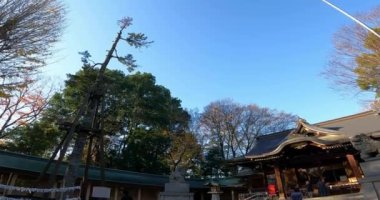 Yerlere bakan Ogikubo Hachiman Tapınağı. Bu tapınağın Kamiogi, Suginami Ward, Tokyo 'da olduğu söyleniyor. Kanpei döneminde kurulduğu söyleniyor (889-898).).