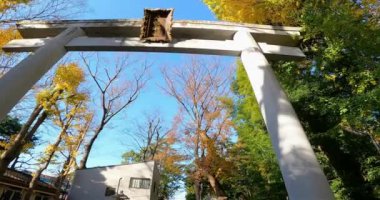 Torii kapısından yaklaşan Ogikubo Hachiman Tapınağı. Bu tapınağın Kamiogi, Suginami Ward, Tokyo 'da olduğu söyleniyor. Kanpei döneminde kurulduğu söyleniyor (889-898).).