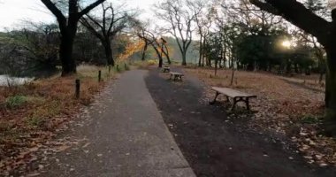 Sonbahar izinleriyle bir parkta yürüyorum. Zenpukuji, Suginami Ward, Tokyo 'daki Zenpukuji Parkı' nda bir tapınak olan Osonoi Ichikishima Tapınağı.