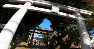 Amanuma Hachiman Tapınağı, Amanuma, Suginami Ward, TokyoIt 'de bir türbe. Eski Amanuma Köyü Nakayado' nun koruyucu tanrısıdır.).