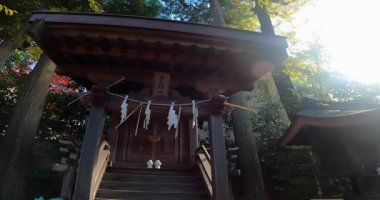 Amanuma Hachiman Tapınağı, Amanuma, Suginami Ward, TokyoIt 'de bir türbe. Eski Amanuma Köyü Nakayado' nun koruyucu tanrısıdır.).