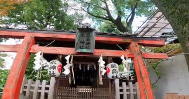 Mabashi Inari Tapınağı Asagaya Minami, Suginami Ward, Tokyo, Japonya 'da bulunan bir türbedir. Bu tapınağın Kamakura döneminin sonunda kurulduğu söylenir (500 yıl önce).