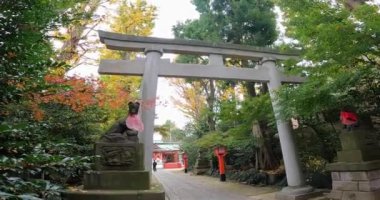 Mabashi Inari Tapınağı Asagaya Minami, Suginami Ward, Tokyo, Japonya 'da bulunan bir türbedir. Bu tapınağın Kamakura döneminin sonunda kurulduğu söylenir (500 yıl önce).