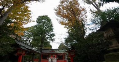 Mabashi Inari Tapınağı Asagaya Minami, Suginami Ward, Tokyo, Japonya 'da bulunan bir türbedir. Bu tapınağın Kamakura döneminin sonunda kurulduğu söylenir (500 yıl önce).