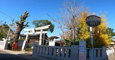 Takeshita Inari Tapınağı, Japonya 'nın Nerima Ward şehrinde, Sekimachi Minami' de Ome Kaido boyunca yer alan bir türbedir. Kuruluş tarihi bilinmemekle birlikte, Takeshita Shinden 'ın gelişiminin 1784 yılında gerçekleştiği düşünülmektedir.).